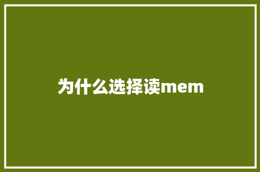 为什么选择读mem