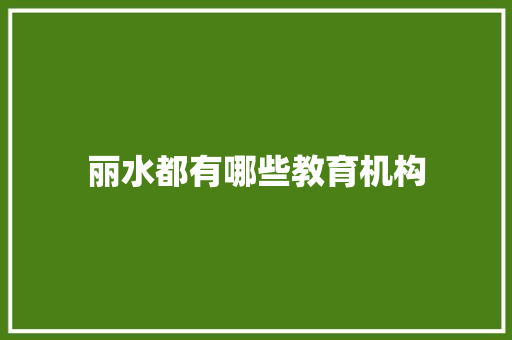 丽水都有哪些教育机构