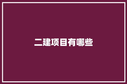 二建项目有哪些