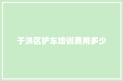 于洪区铲车培训费用多少 未命名