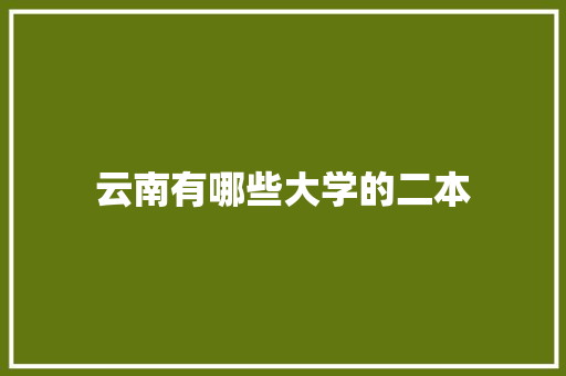 云南有哪些大学的二本