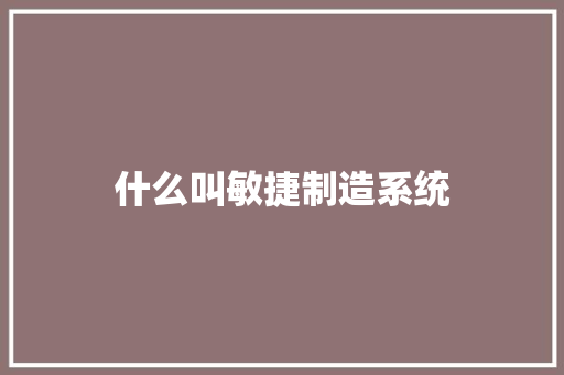 什么叫敏捷制造系统