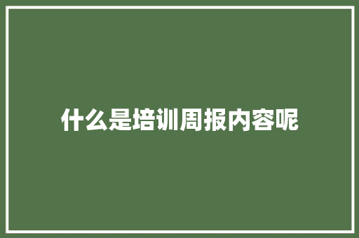 什么是培训周报内容呢 未命名