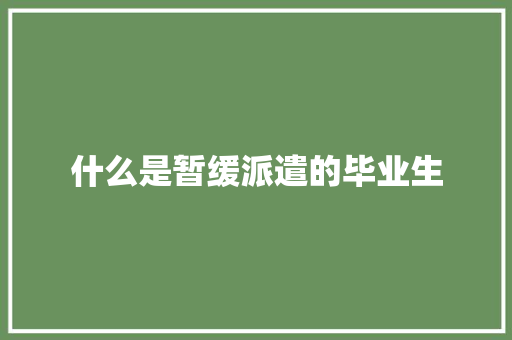 什么是暂缓派遣的毕业生 未命名