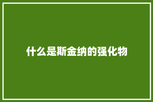 什么是斯金纳的强化物