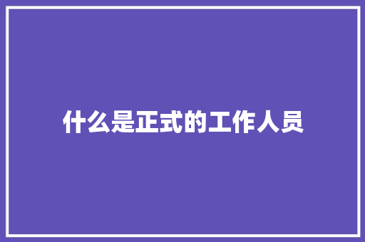 什么是正式的工作人员