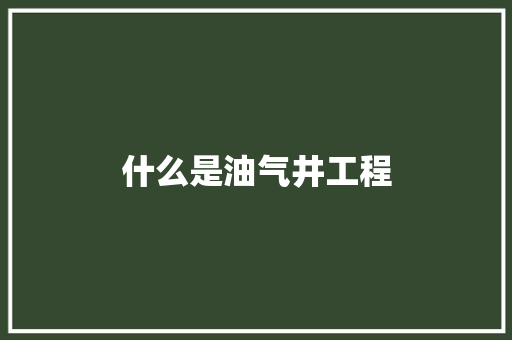 什么是油气井工程