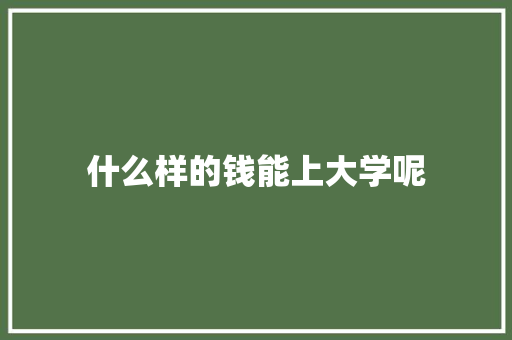 什么样的钱能上大学呢