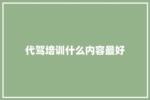 代驾培训什么内容最好 未命名