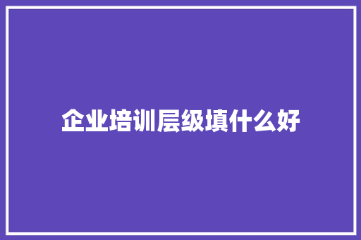 企业培训层级填什么好