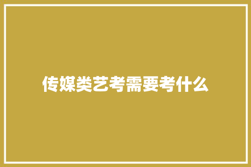 传媒类艺考需要考什么 未命名