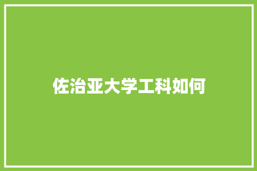 佐治亚大学工科如何