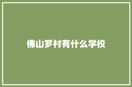 佛山罗村有什么学校 未命名