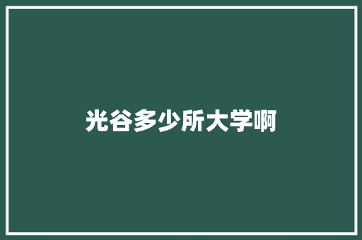 光谷多少所大学啊