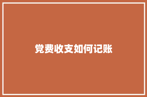 党费收支如何记账 未命名