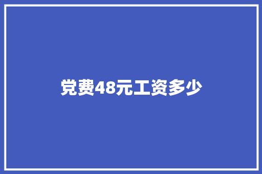 党费48元工资多少