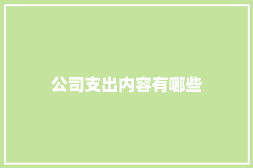 公司支出内容有哪些 未命名