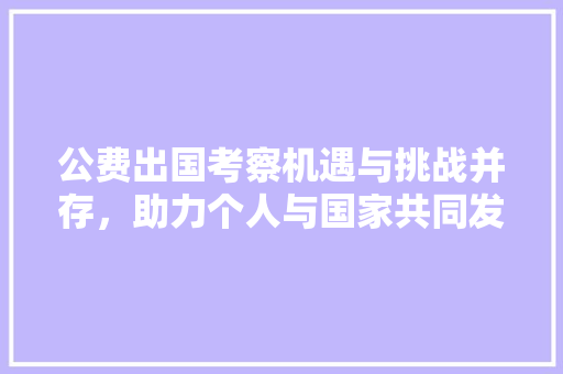 公费出国考察机遇与挑战并存，助力个人与国家共同发展