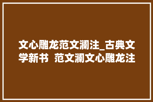 文心雕龙范文澜注_古典文学新书  范文澜文心雕龙注简体横排版