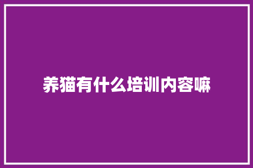 养猫有什么培训内容嘛