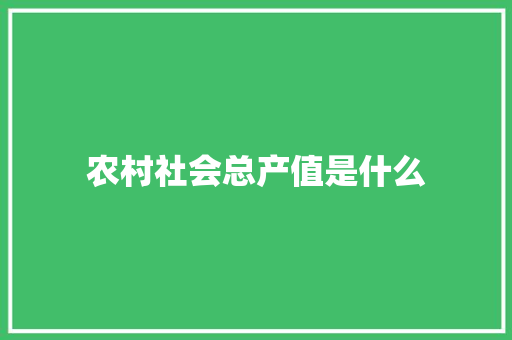 农村社会总产值是什么 未命名