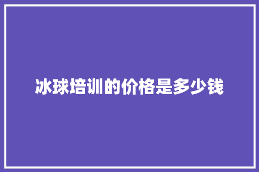 冰球培训的价格是多少钱 未命名