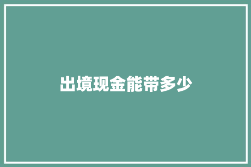 出境现金能带多少 未命名