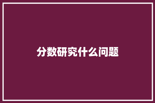 分数研究什么问题