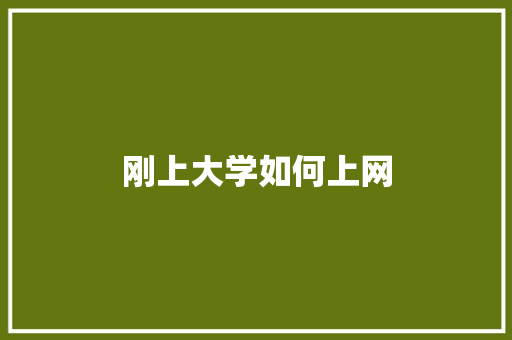 刚上大学如何上网