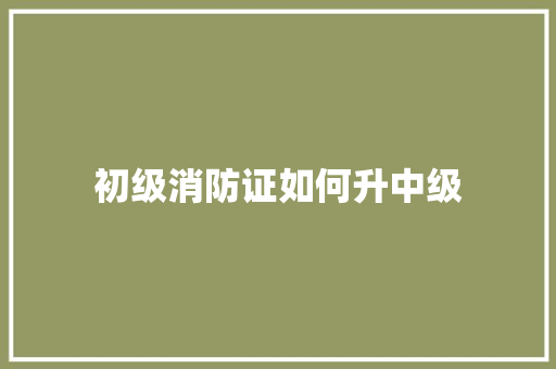 初级消防证如何升中级