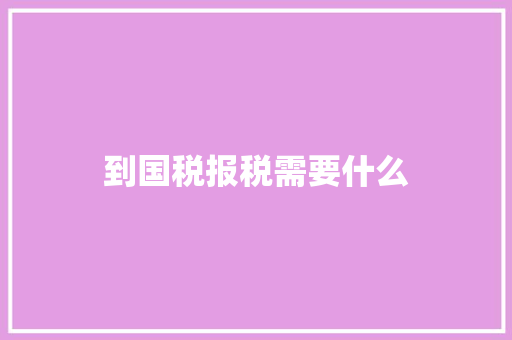 到国税报税需要什么