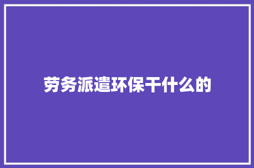 劳务派遣环保干什么的