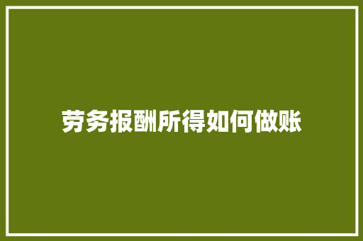 劳务报酬所得如何做账 未命名