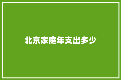 北京家庭年支出多少