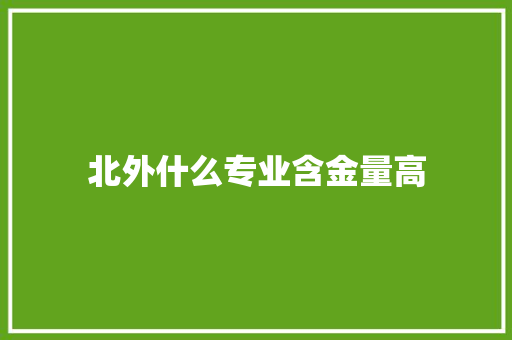 北外什么专业含金量高 未命名