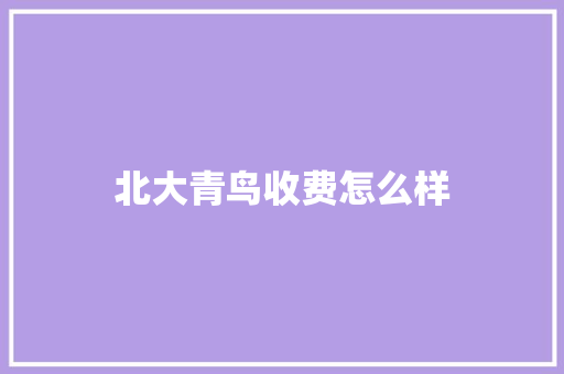 北大青鸟收费怎么样