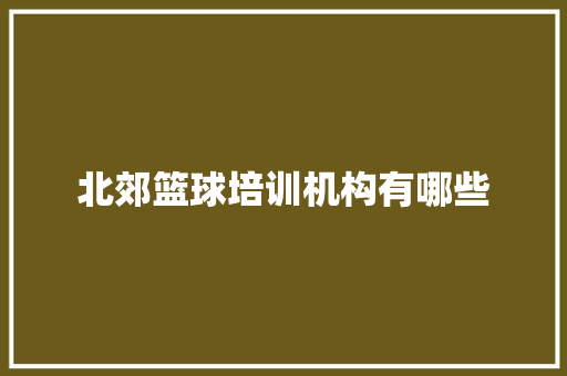 北郊篮球培训机构有哪些