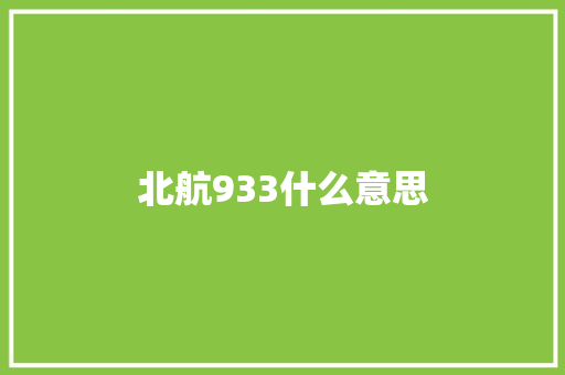 北航933什么意思