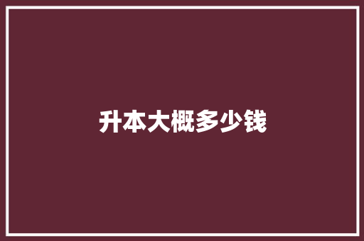 升本大概多少钱 未命名