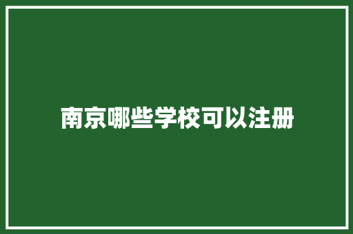 南京哪些学校可以注册