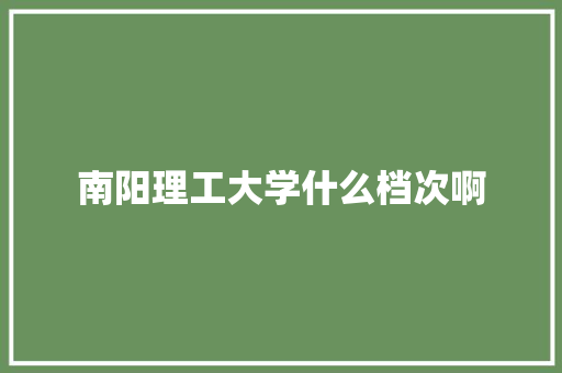 南阳理工大学什么档次啊