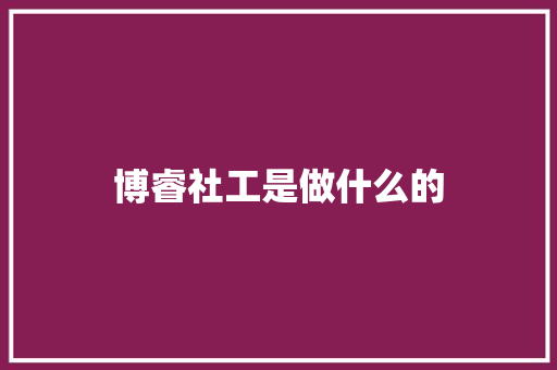 博睿社工是做什么的