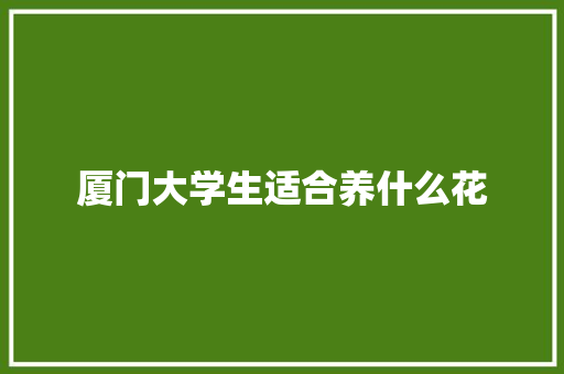 厦门大学生适合养什么花