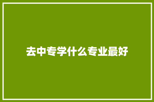 去中专学什么专业最好 未命名