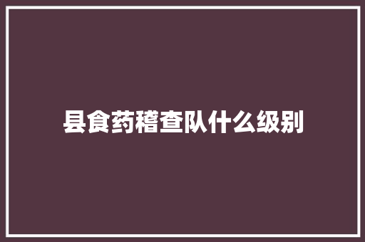 县食药稽查队什么级别