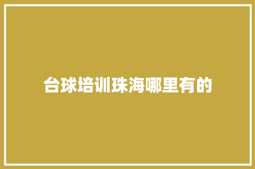 台球培训珠海哪里有的