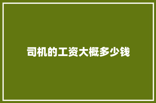 司机的工资大概多少钱 未命名