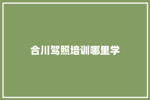 合川驾照培训哪里学 未命名