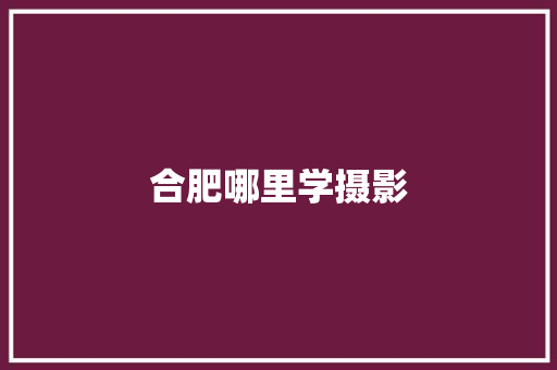 合肥哪里学摄影 未命名