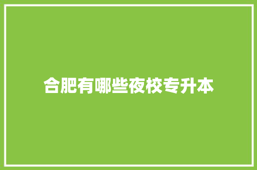 合肥有哪些夜校专升本 未命名